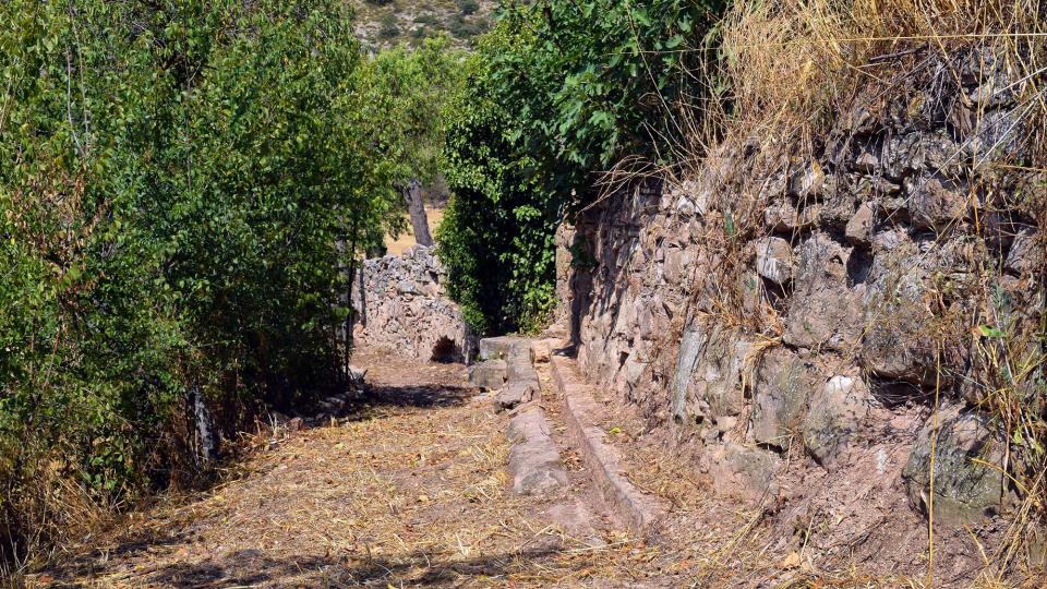 9.7.2017 Aqüeducte dels Frares  Torà -  Ramon Sunyer