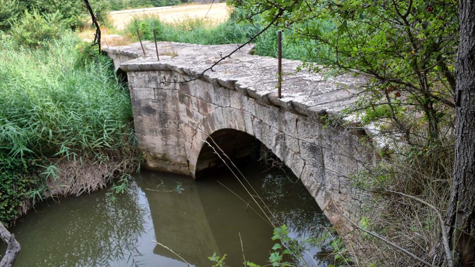 9 de Agost de 2018 Pont del Llobregós  Ribelles -  Ramon Sunyer