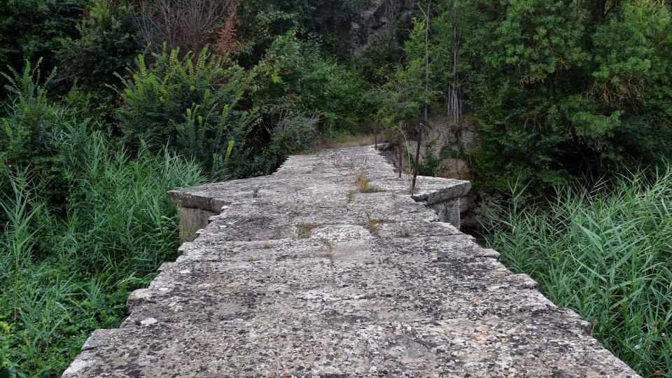 9 de Agost de 2018 Pont del Llobregós  Ribelles -  Ramon Sunyer