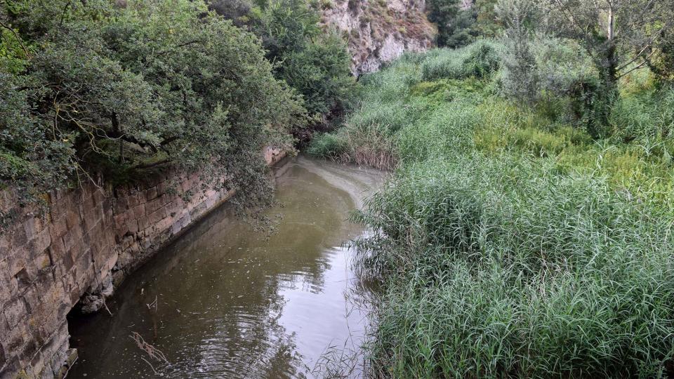 9 de Agost de 2018 Pont del Llobregós  Ribelles -  Ramon Sunyer