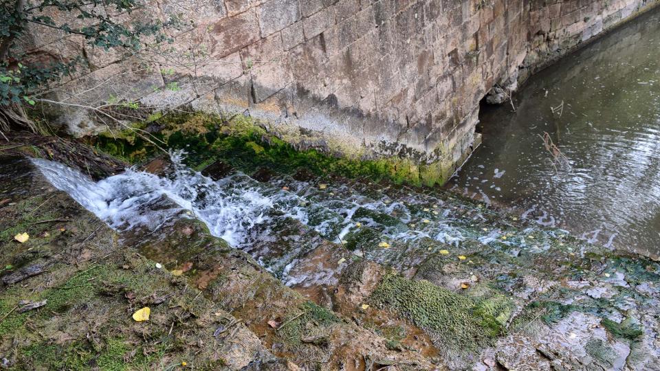 Espace fluvial Peixera de Ribelles - Auteur Ramon Sunyer (2018)