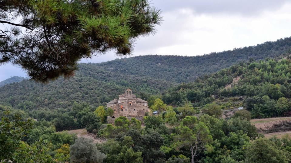 13 de Octubre de 2018 monestir  Cellers -  Ramon Sunyer