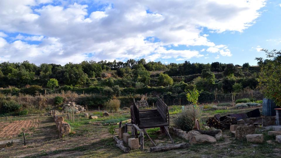 7.10.2018 Parc de les Olors  Claret -  Ramon Sunyer