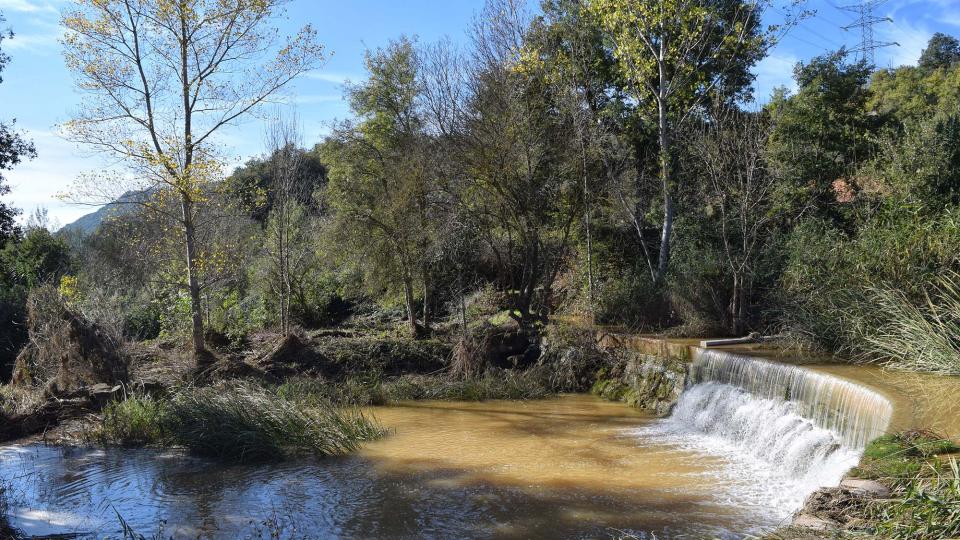 4 de Novembre de 2018 Peixera del Duc  Fontanet -  Ramon Sunyer