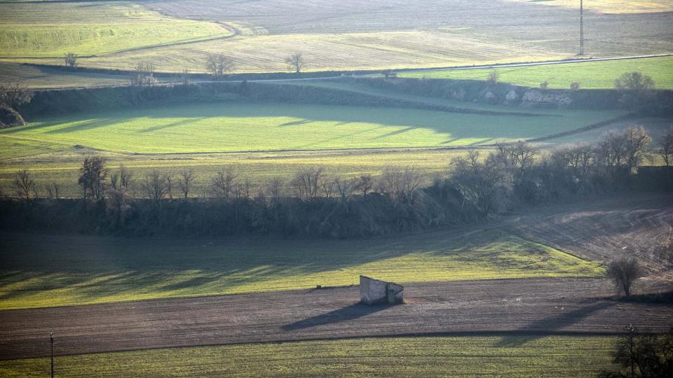 13 de Gener de 2019 paisatge del Llobregós  L'Aguda -  Ramon Sunyer