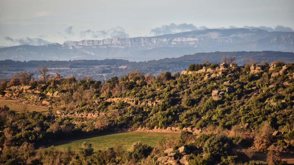 13 de Gener de 2019 paisatge  L'Aguda -  Ramon Sunyer