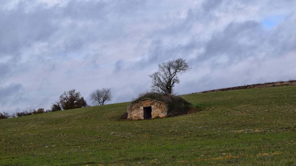 16 de Desembre de 2018 Cabana del Tirona  Torà -  Ramon Sunyer