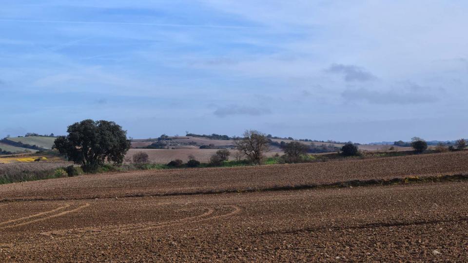 26 de Desembre de 2018   Palouet -  Ramon Sunyer