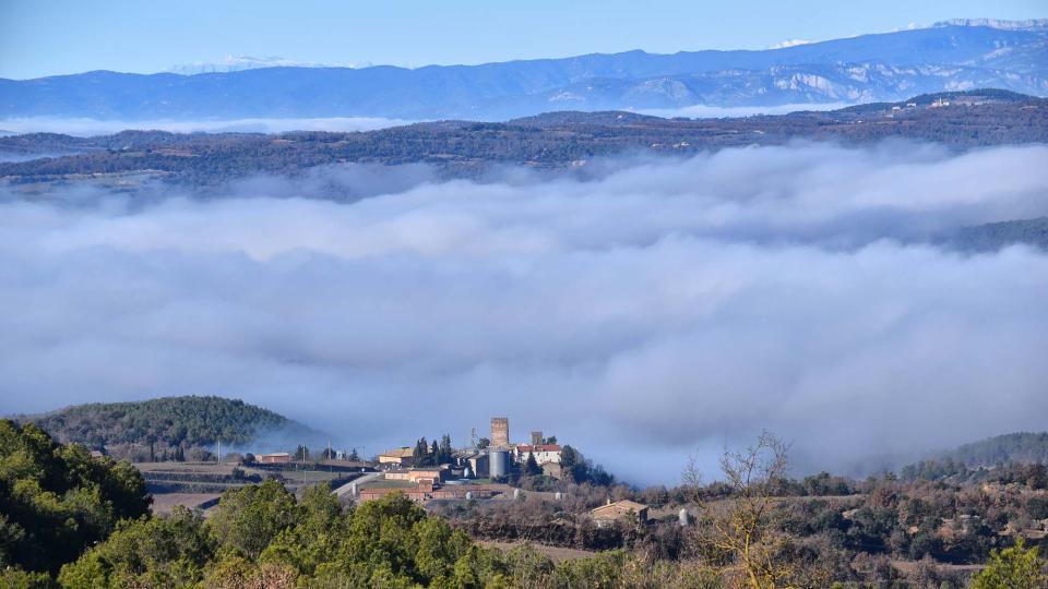 31.12.2018   Ardèvol -  Ramon Sunyer