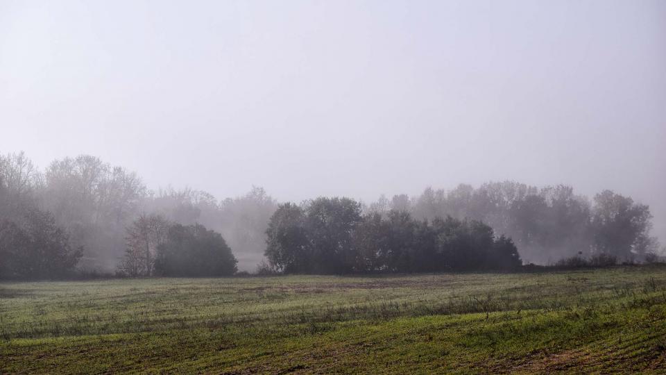 31 de Desembre de 2018   Ardèvol -  Ramon Sunyer