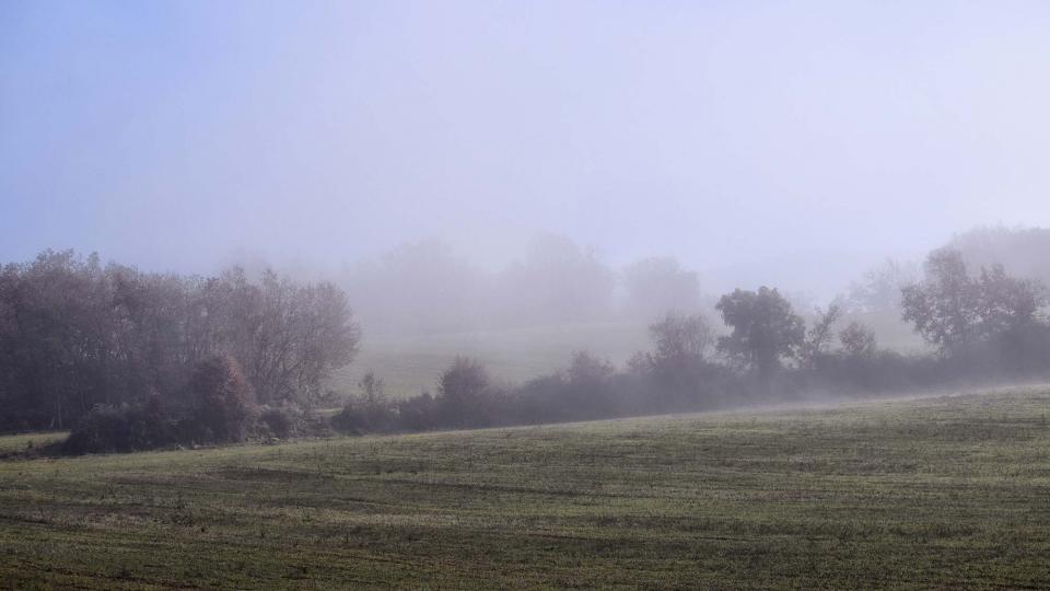 31 de Desembre de 2018   Ardèvol -  Ramon Sunyer