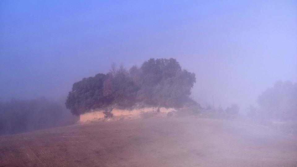 31 de Desembre de 2018   Ardèvol -  Ramon Sunyer