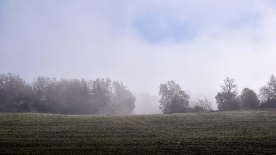 31 de Desembre de 2018   Ardèvol -  Ramon Sunyer