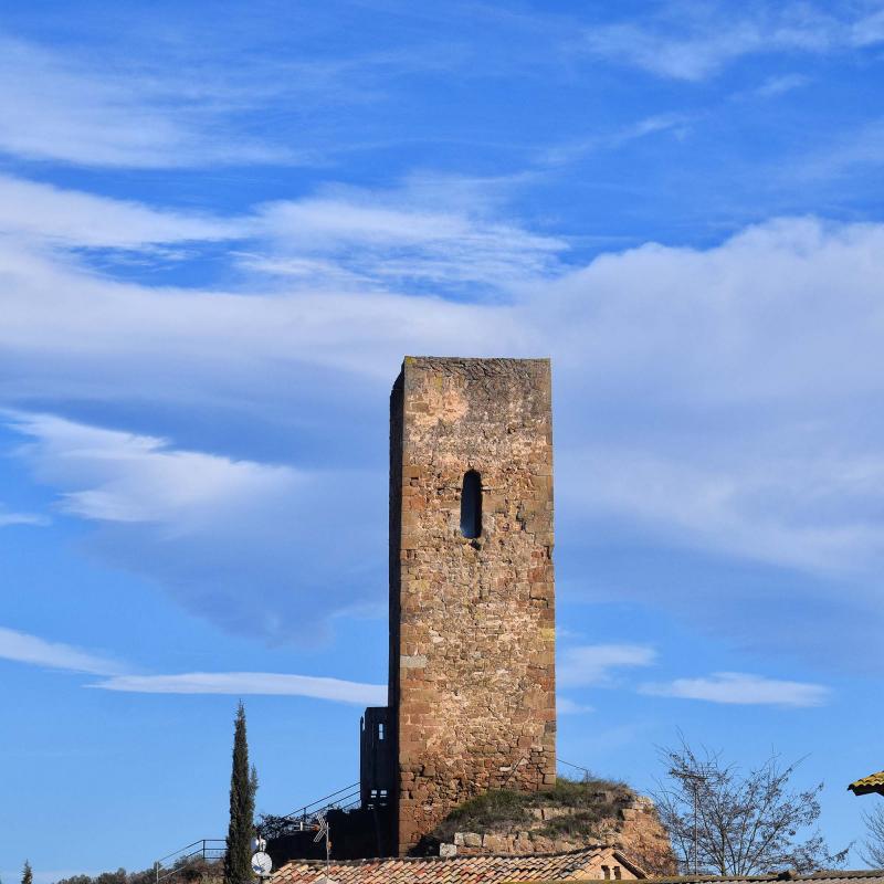 31 de Desembre de 2018   Ardèvol -  Ramon Sunyer