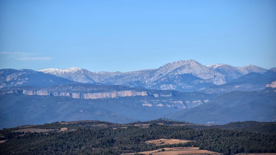 31 de Desembre de 2018   Pinós -  Ramon Sunyer