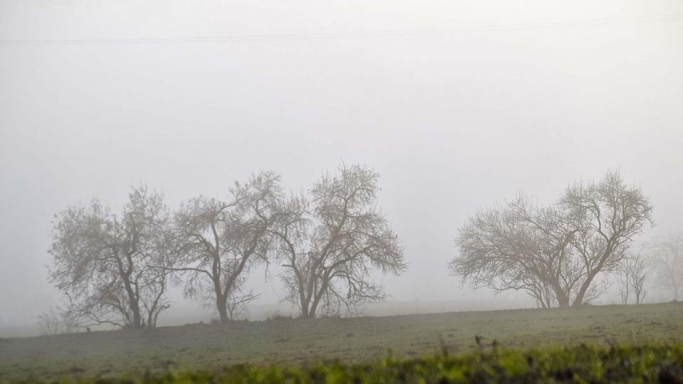 31 de Desembre de 2018 Boires  La Molsosa -  Ramon Sunyer