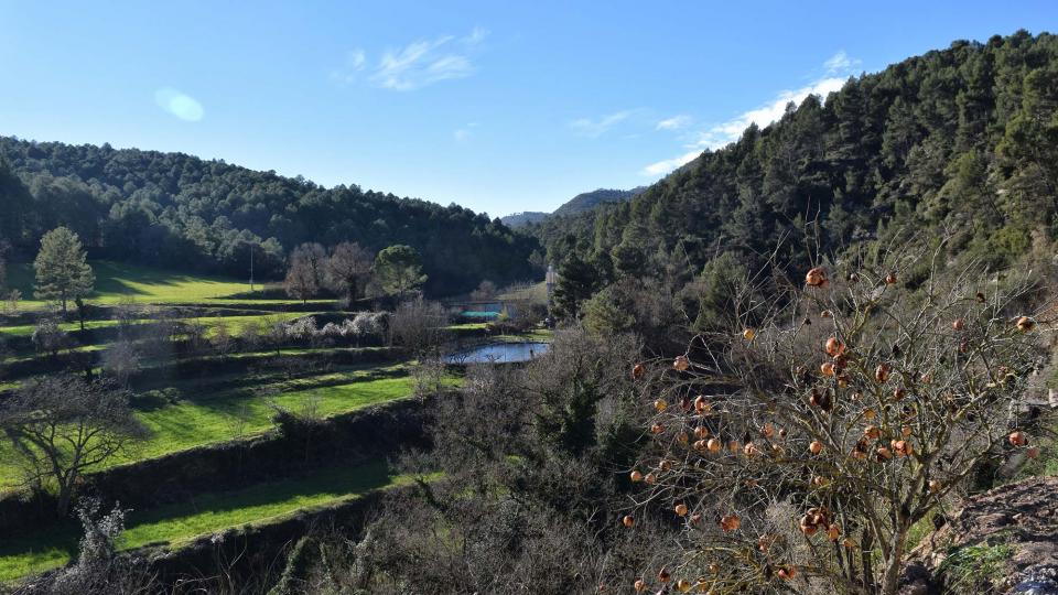 31 de Desembre de 2018 Claret de Cavallers - Ramon Sunyer