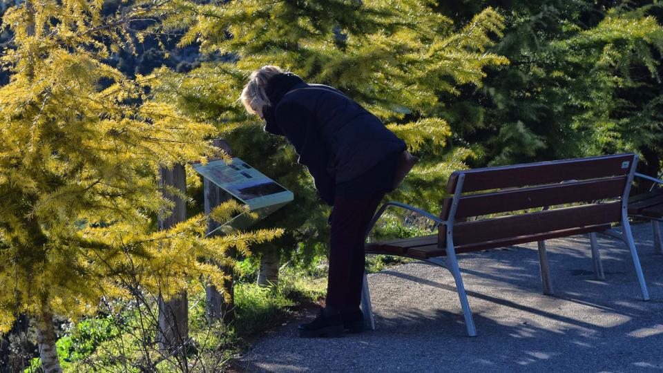 31 de Desembre de 2018 Castelltallat - Ramon Sunyer