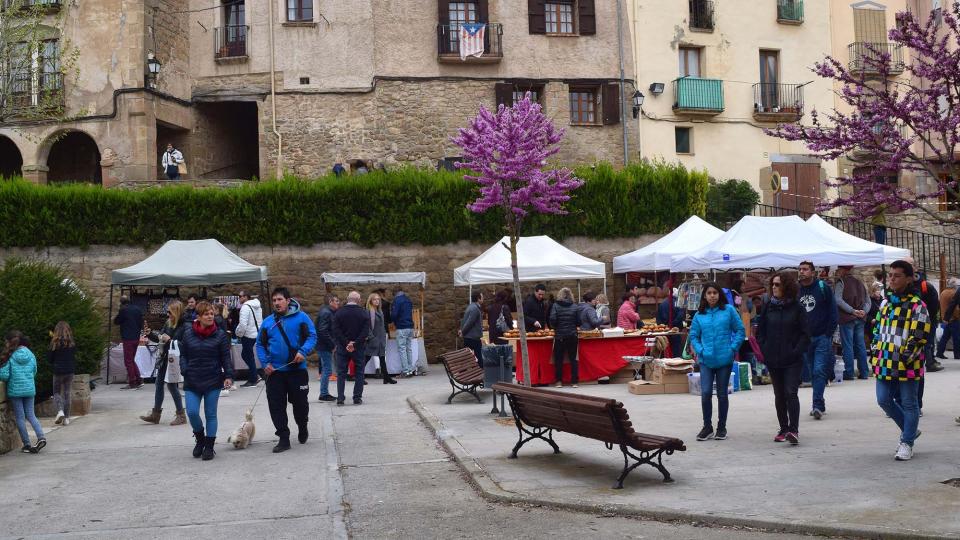 19 de Abril de 2019   Torà -  Ramon Sunyer