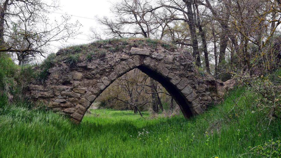 17 de Abril de 2019 Pontet del Diable  Torà -  Ramon Sunyer