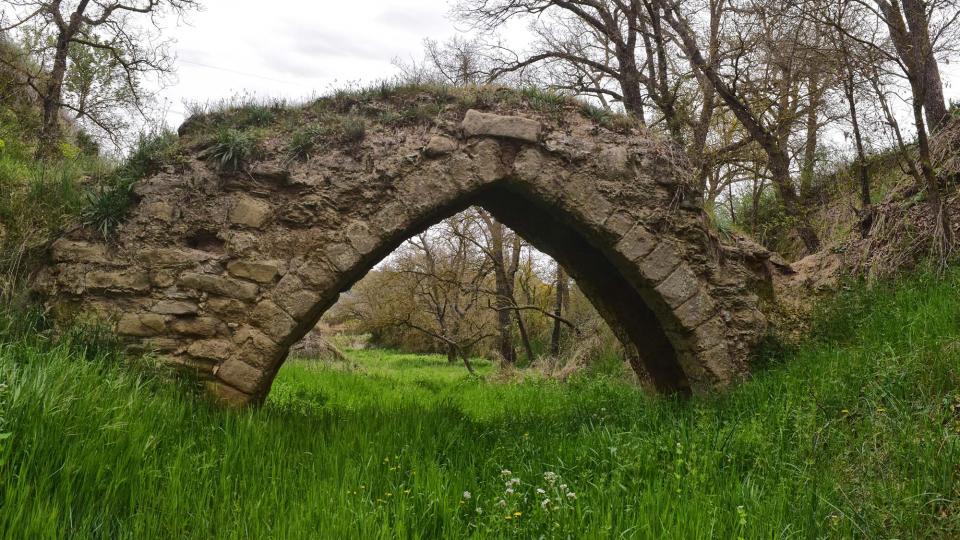 17 de Abril de 2019 Pontet del Diable  Torà -  Ramon Sunyer