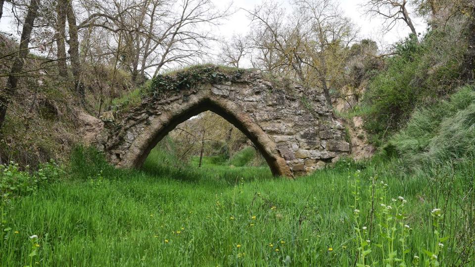 17 de Abril de 2019 Pontet del Diable  Torà -  Ramon Sunyer