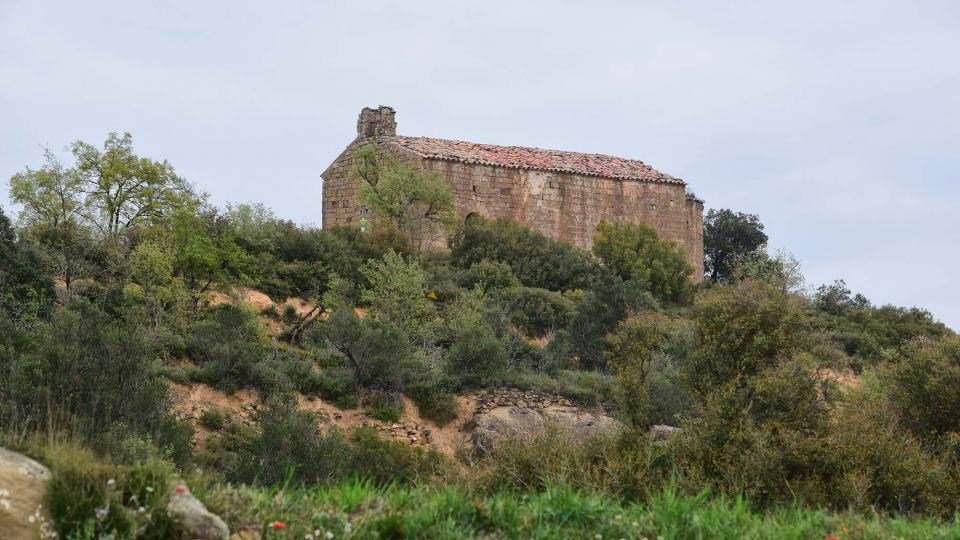 22 de Abril de 2019 Sant Salvador del Coll  L'Aguda -  Ramon Sunyer