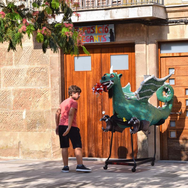 29 de Agost de 2019 4a. Exposició de Gegants  Torà -  Ramon Sunyer