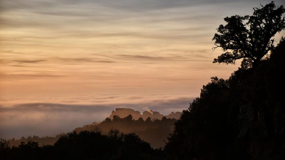 2 de Gener de 2020 Posta de Sol al Mas l'Estany  Lloberola -  Ramon Sunyer