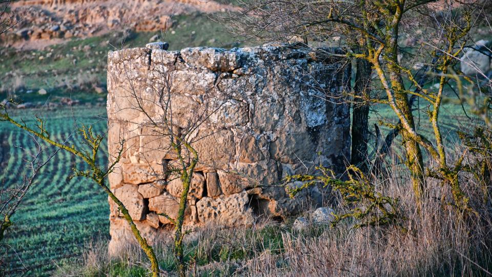 2 de Gener de 2020 Posta de Sol al Mas de Sant Pere  Lloberola -  Ramon Sunyer