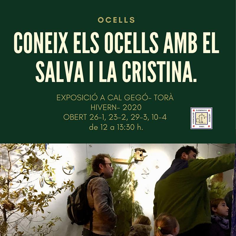 cartell Exposició 'Coneix els ocells amb el Salva i la Cristina' cartell Exposició 'Coneix els ocells amb el Salva i la Cristina'