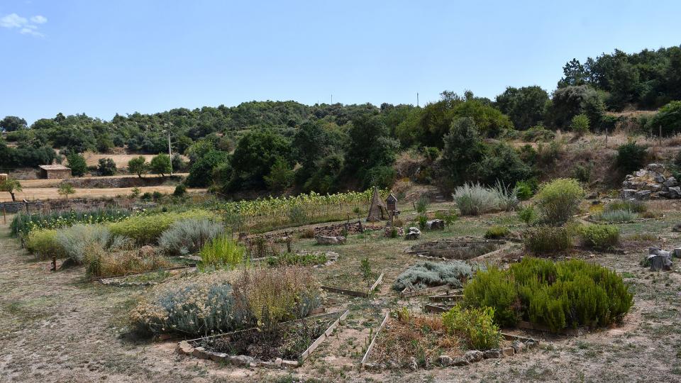 9 de Agost de 2020 Parc de les olors  Claret -  Ramon Sunyer