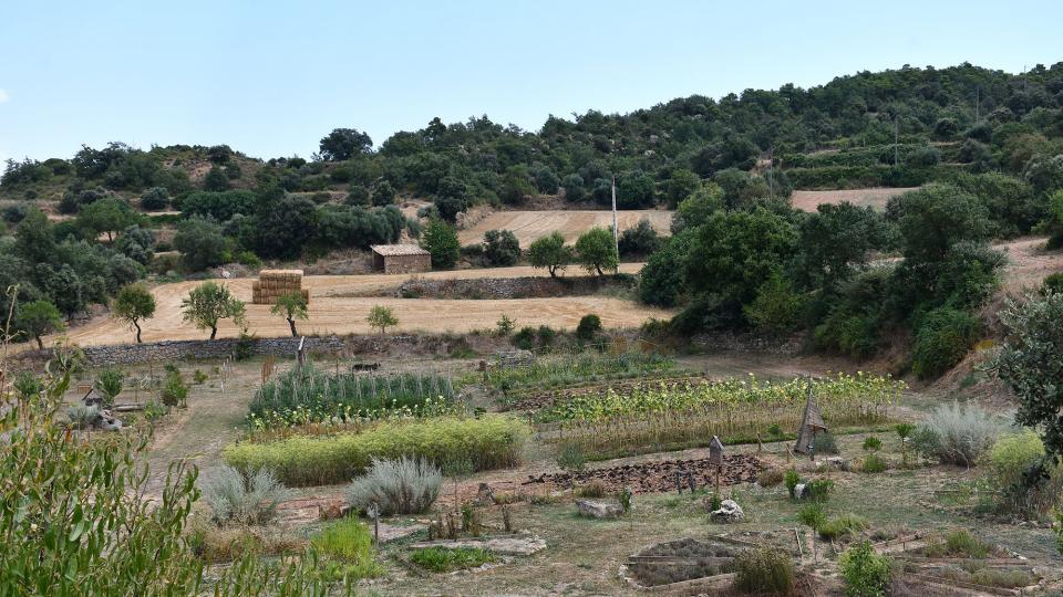 9.8.2020 Parc de les olors  Claret -  Ramon Sunyer