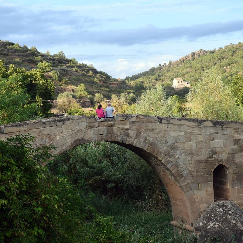 30 de Agost de 2021 Pont de les Merites  Torà -  Ramon Sunyer