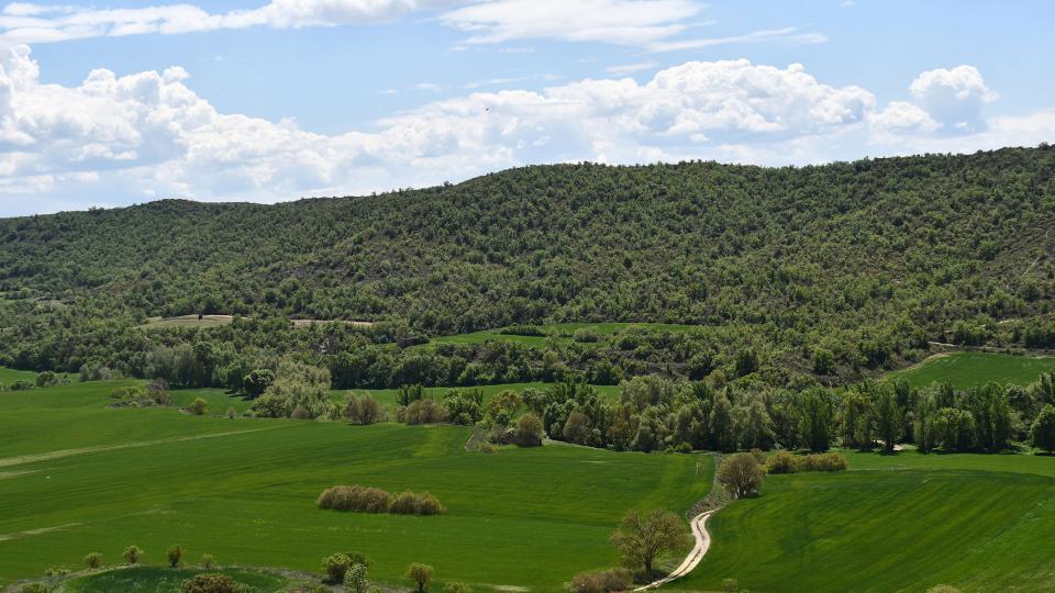 8 de Maig de 2022 Paisatge  Puig-Arner -  Ramon Sunyer