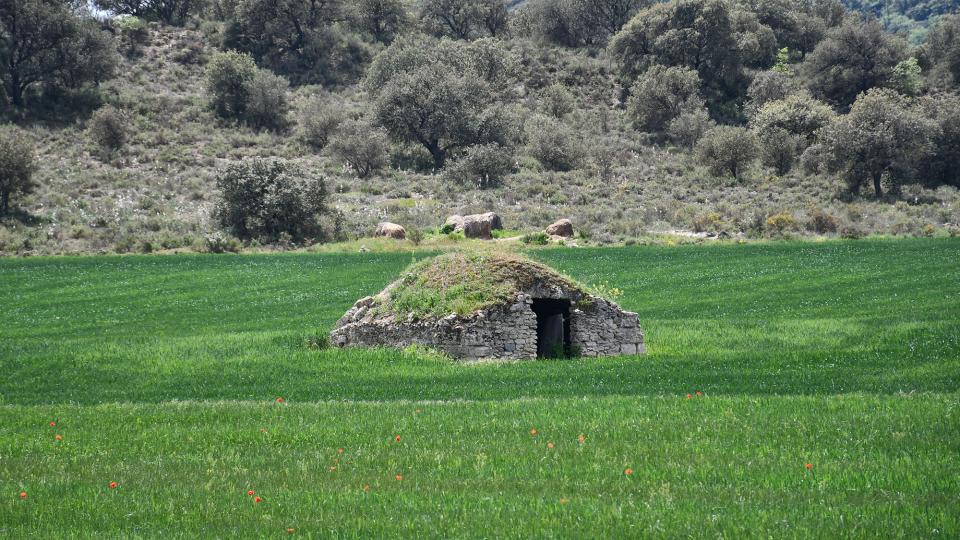 8 de Maig de 2022 Cabana de volta  Puig-Arner -  Ramon Sunyer