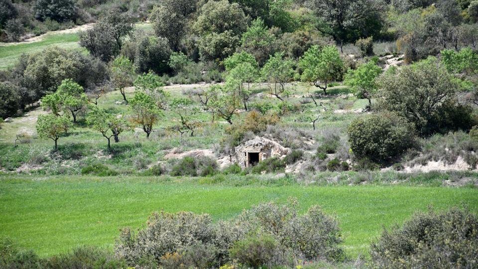 8 de Maig de 2022 Cabana de volta  Puig-Arner -  Ramon Sunyer