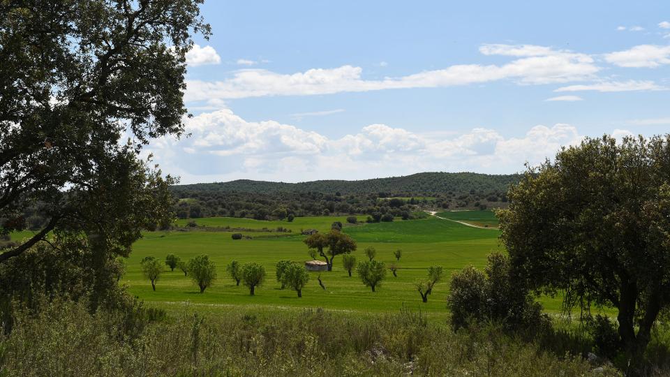 8 de Maig de 2022 Paisatge  Puig-Arner -  Ramon Sunyer