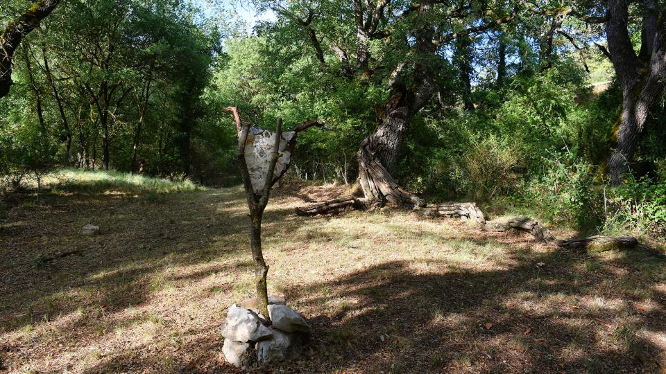 25 de Juny de 2022 Orri dels Èns  Els Quadrells -  Ramon Sunyer