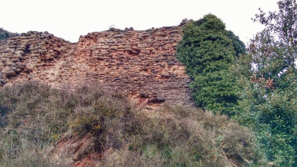 Castell 11 de Gener de 2015 Castell Cellers - Ramon Sunyer