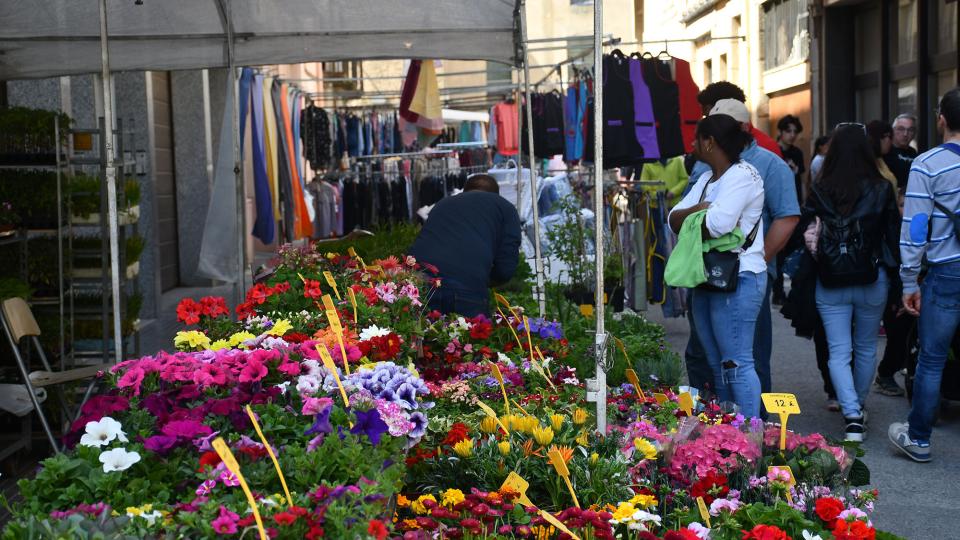 7 de Abril de 2023 Flors i planters  Torà -  Ramon Sunyer