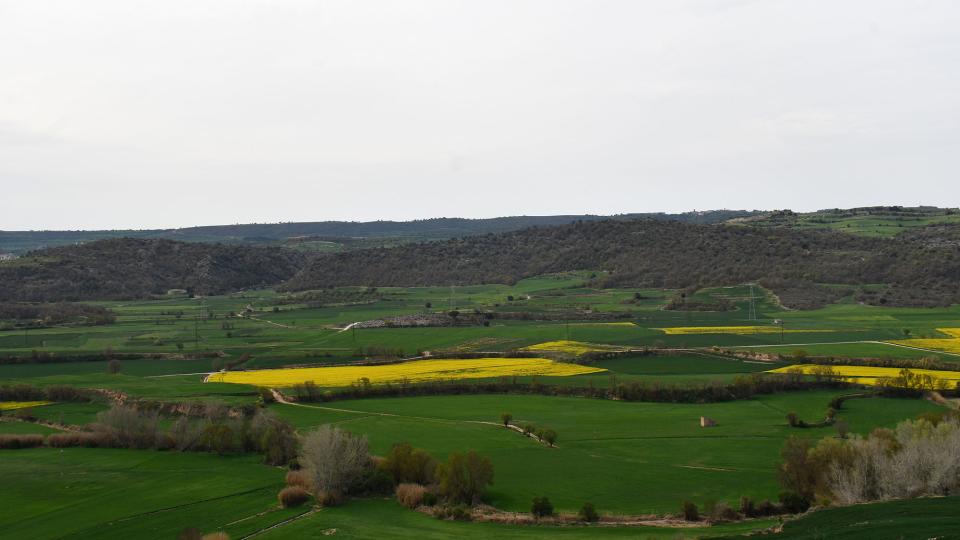 10 de Abril de 2023 vista dels plans de Torà  L'Aguda -  Ramon Sunyer