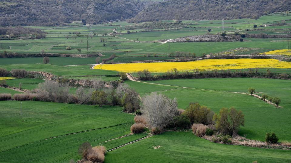 10 de Abril de 2023 vista dels plans de Torà  L'Aguda -  Ramon Sunyer