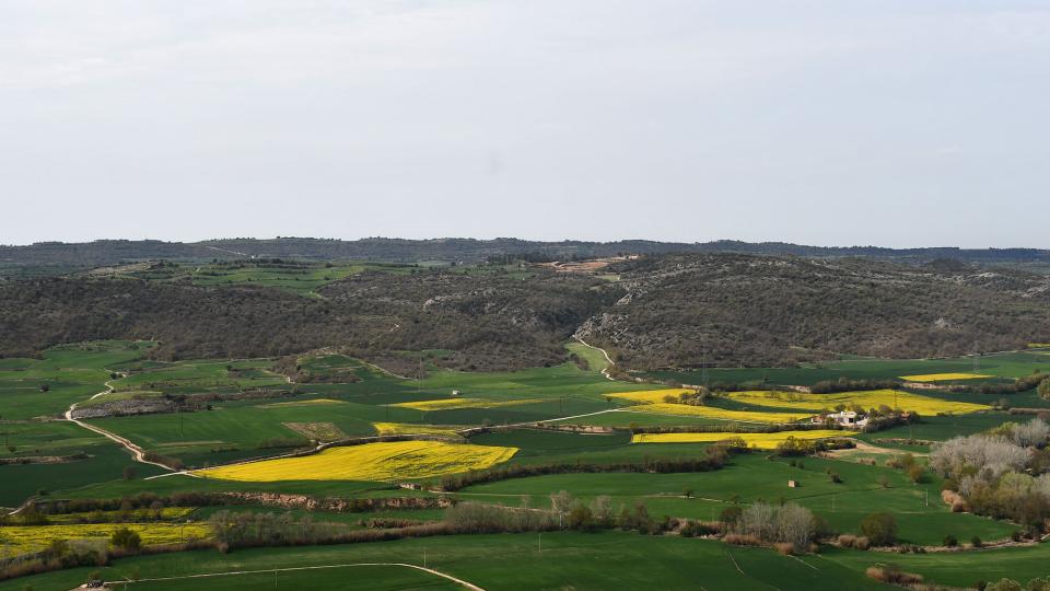 10 de Abril de 2023 vista dels plans de Torà  L'Aguda -  Ramon Sunyer