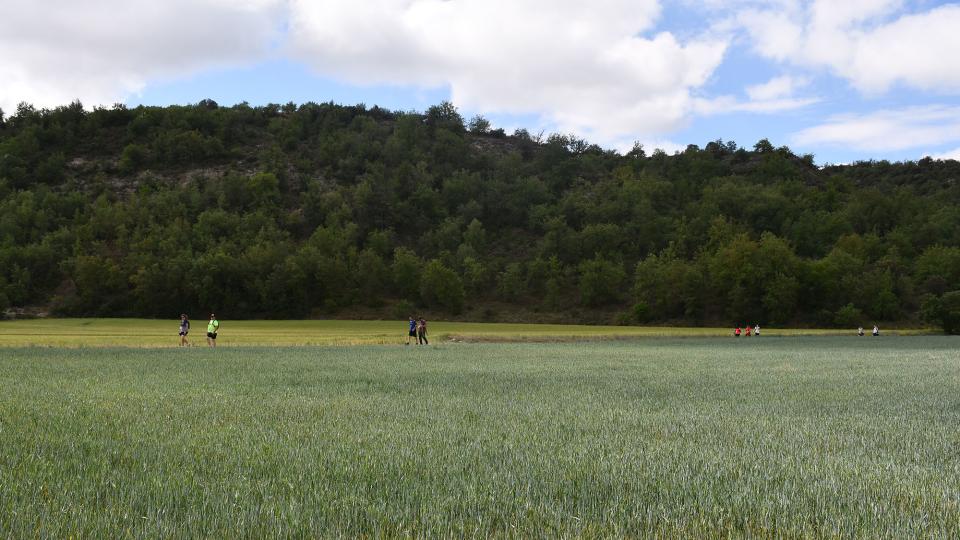 30 de Abril de 2023   Torà -  Ramon Sunyer