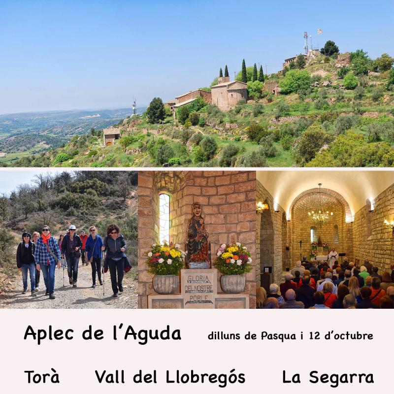 cartell Aplec de l'Aguda 2024