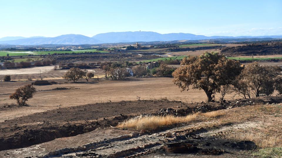 Paisatge cremat 22 de Juliol de 2025 Paisatge cremat Renant - Ramon Sunyer