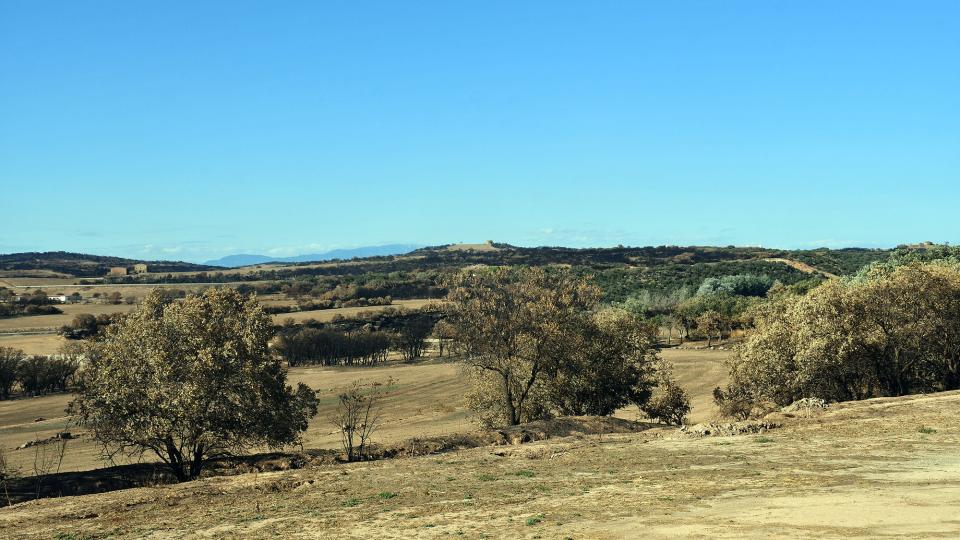 Paisatge cremat 22 de Juliol de 2025 Paisatge cremat Renant - Ramon Sunyer