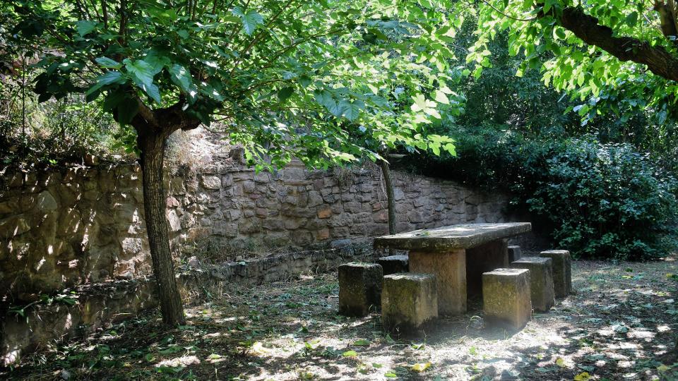 Font de Santa Maria 6 de Juliol de 2025 Font de Santa Maria Castellfollit de Riubregós - Ramon Sunyer