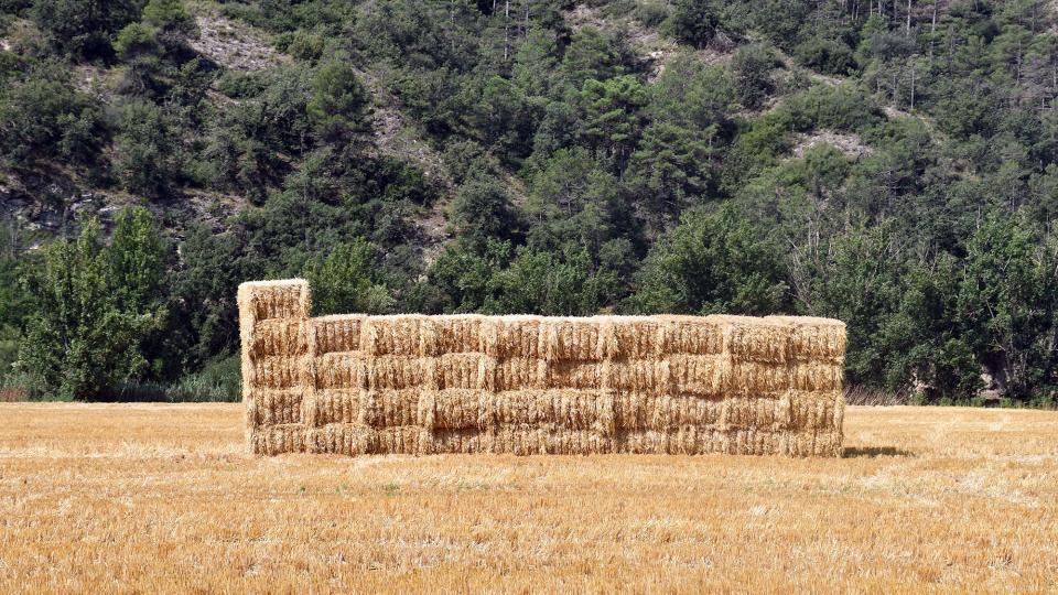 Paisatge amb bales de palla 6 de Juliol de 2025 Paisatge amb bales de palla Castellfollit de Riubregós - Ramon Sunyer